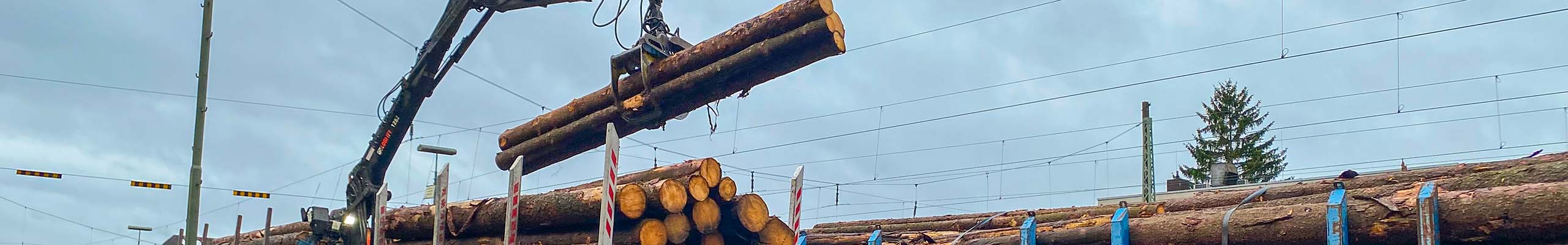 Forstliche Vereinigung Bauland-Odenwald eG Aktuelles