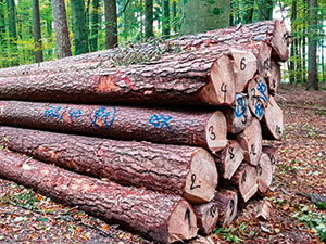 Forstliche Vereinigung Odenwald-Bauland eG Mitgliedereindrücke 7