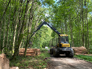 Forstliche Vereinigung Odenwald-Bauland eG Mitgliedereindrücke