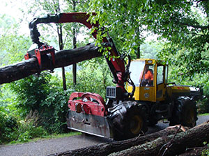 Forstliche Vereinigung Odenwald-Bauland eG Mitgliedereindrücke 3