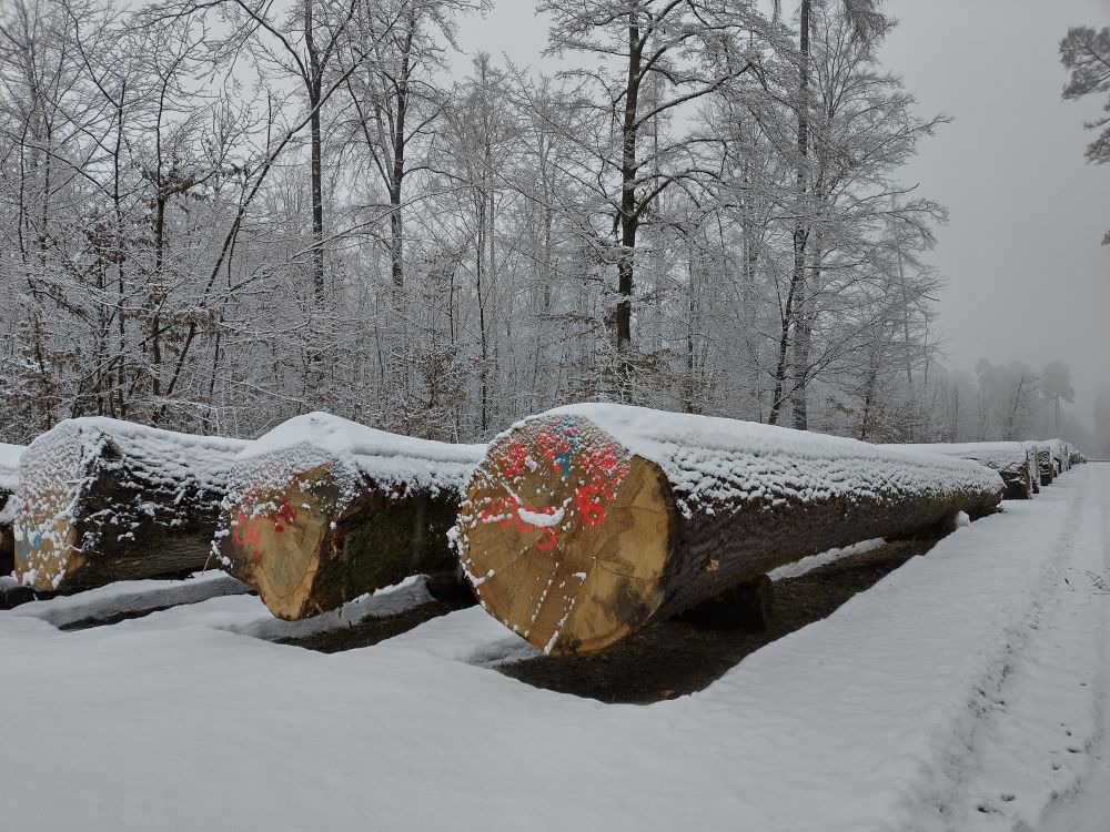 Die Losverzeichnise der Laubwertholz-Submission Merchingen 2026